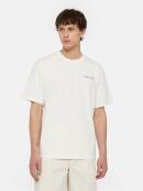 Dickies - WAKEFIELD TEE SS