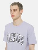 Dickies - AITKIN TEE