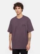 Dickies - DICKIES STAMP TEE SS