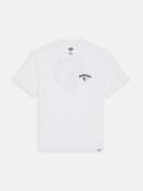 Dickies - GOOSE TEE SS