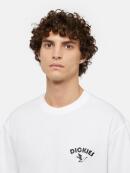 Dickies - GOOSE TEE SS