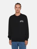 Dickies - AITKIN CHEST SWEATSHIRT