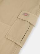 Dickies - JOHNSON CARGO