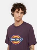 Dickies - ICON LOGO TEE