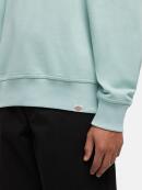 Dickies - DICKIES SCRIPT SWEATSHIRT