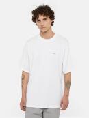 Dickies - CLANCY HEAVYWEIGHT TEE SS