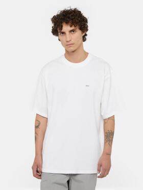 Dickies - CLANCY HEAVYWEIGHT TEE SS