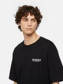 Dickies - DICKIES SCRIPT TEE SS