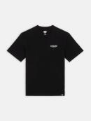 Dickies - DICKIES SCRIPT TEE SS