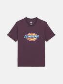 Dickies - ICON LOGO TEE