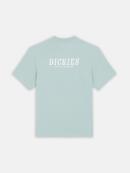 Dickies - DICKIES SCRIPT TEE SS