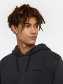 Dickies - PLENTYWOOD HOODIE