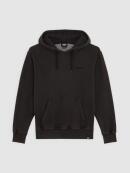 Dickies - PLENTYWOOD HOODIE