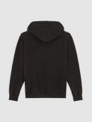 Dickies - PLENTYWOOD HOODIE