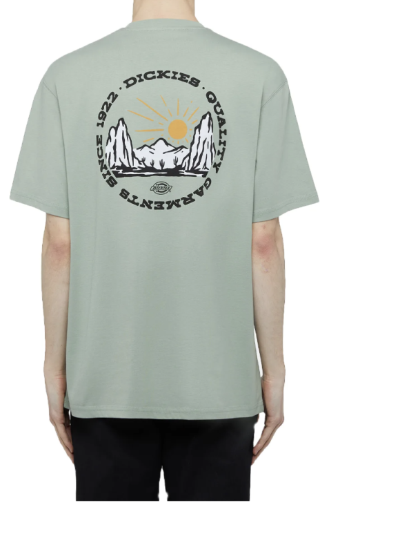 Dickies - Dickies Outdoor SS Tee